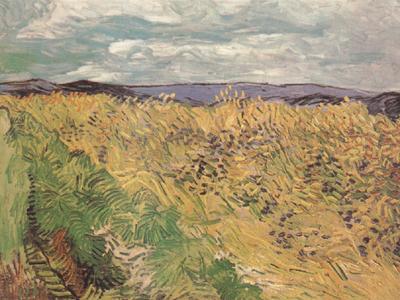 Vincent Van Gogh Whear Field with Cornflowers (nn04) oil painting picture
